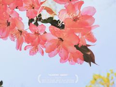 -济南森林公园