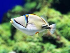 -新加坡海洋生态馆