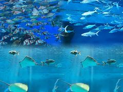 -泉城欧乐堡海洋极地世界