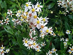 -会稽山峡洞漂流-上青古道