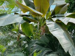 -石家庄市植物园