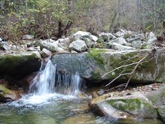 -黑河国家森林公园