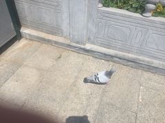 -定都峰