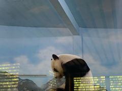 -柳州市动物园