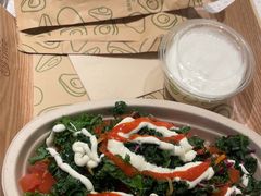 -油梨树 AVOCADO TREE(亮马桥店)