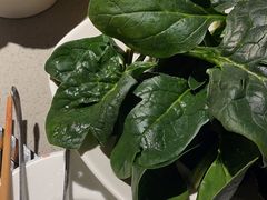 -海底捞火锅(大唐店)