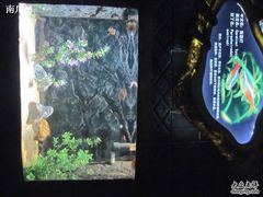 -苏州海洋馆