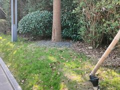 -好望角大饭店(肇嘉浜路店)