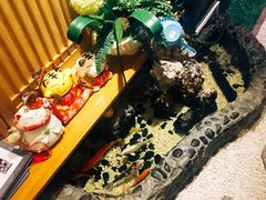 -琴寿司居酒屋(中山广场店)