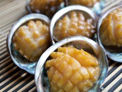 炭烧珍珠鲍-展讯豪生酒店