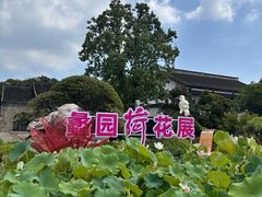 -无锡蠡湖国家湿地公园-蠡园