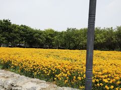 -江苏三台山国家森林公园