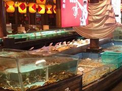 -王庄阿咪海鲜大排档(上下杭店)