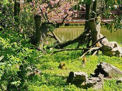 -扬州市茱萸湾风景区