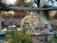 -安德鲁户外烧烤帐篷营地(马泉营店)