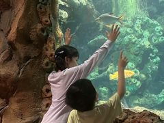 -长鹿旅游休博园