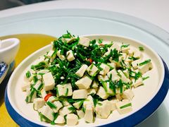 沙葱拌豆腐-宁夏国强手抓羊肉·清真菜(未央路凤三店)