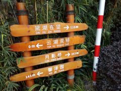 -重庆彩云湖湿地公园