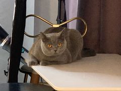 -壹人壹像工作室(购物公园店)