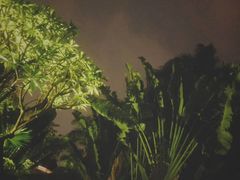 -厦门日月谷温泉渡假村