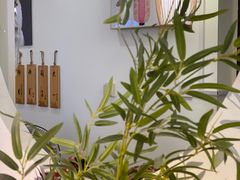 -柴犬小屋·柴餐厅·狗咖食堂(金鼎广场店)