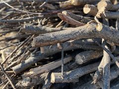 -天津盘山风景名胜区