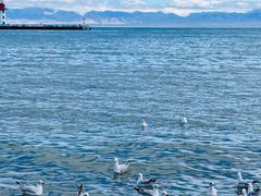 -青海湖国家重点风景名胜区