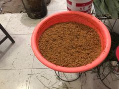 -罗子龙罗家桂花汤圆(曹都巷店)