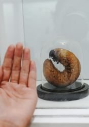 -酷嗒动物文化乐园(cutezoo西溪乐天城店)