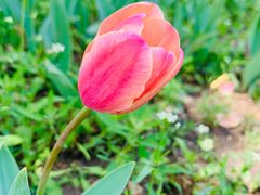 -长春公园(普阳街道)