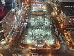 -大通公园