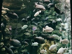 -成都浩海立方海洋公园