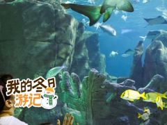 -太平洋海底世界