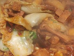 -挂雪铁锅炖大鹅