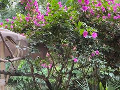 -大妙火锅·非物质文化遗产(东湖公园店)