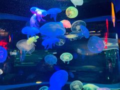 -太平洋海底世界