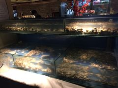 -星伦多自助料理·涮烤一体(虹悦城店)
