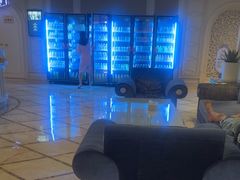 -麓湖国际水疗