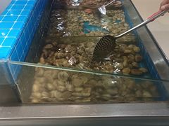 -集杰尚品海鲜烤肉自助餐厅(乳山振华店)