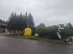 -五营红松林海景区