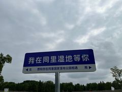 -同里国家湿地公园
