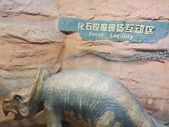 -河南自然博物馆