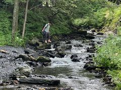 -凤凰山国家森林公园