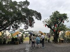 -长洲岛都市农业公园