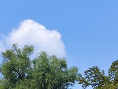 -香山公园