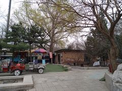 -尚庄度假村·庭台树下·户外烧烤·团建CS·轰趴营地(上庄水库店)