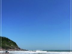 -盐洲岛