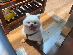 -映日农场无花果鸡(滨江东路店)