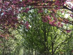 -南通洲际绿博园