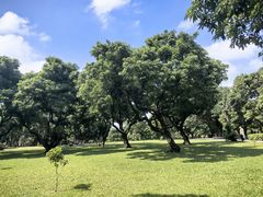-荔枝公园(福田区)